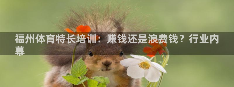 焦点娱乐说说文案：福州体育特长培训：赚钱还是浪费钱？