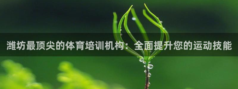 焦点娱乐网站下载地址是多少：潍坊最顶尖的体育培训机构