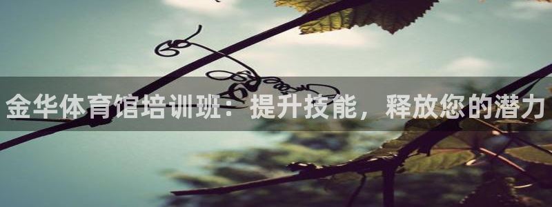 焦点平台娱乐：金华体育馆培训班：提升技能，释放您的潜