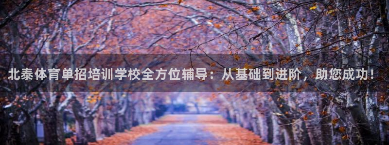 焦点娱乐传媒有限公司怎么样知乎