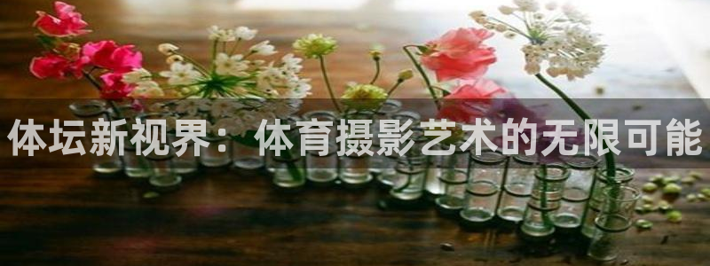 焦点娱乐平台客服电话号码查询：体坛新视界：体育摄影艺