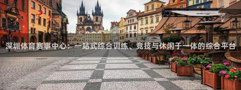 焦点娱乐网站下载地址在哪：深圳体育赛事中心：一站式综