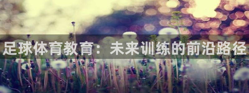 焦点娱乐传媒：足球体育教育：未来训练的前沿路径