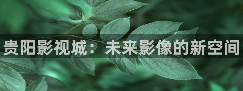 黑蚂蚁影视电视剧大全：贵阳影视城：未来影像的新空间